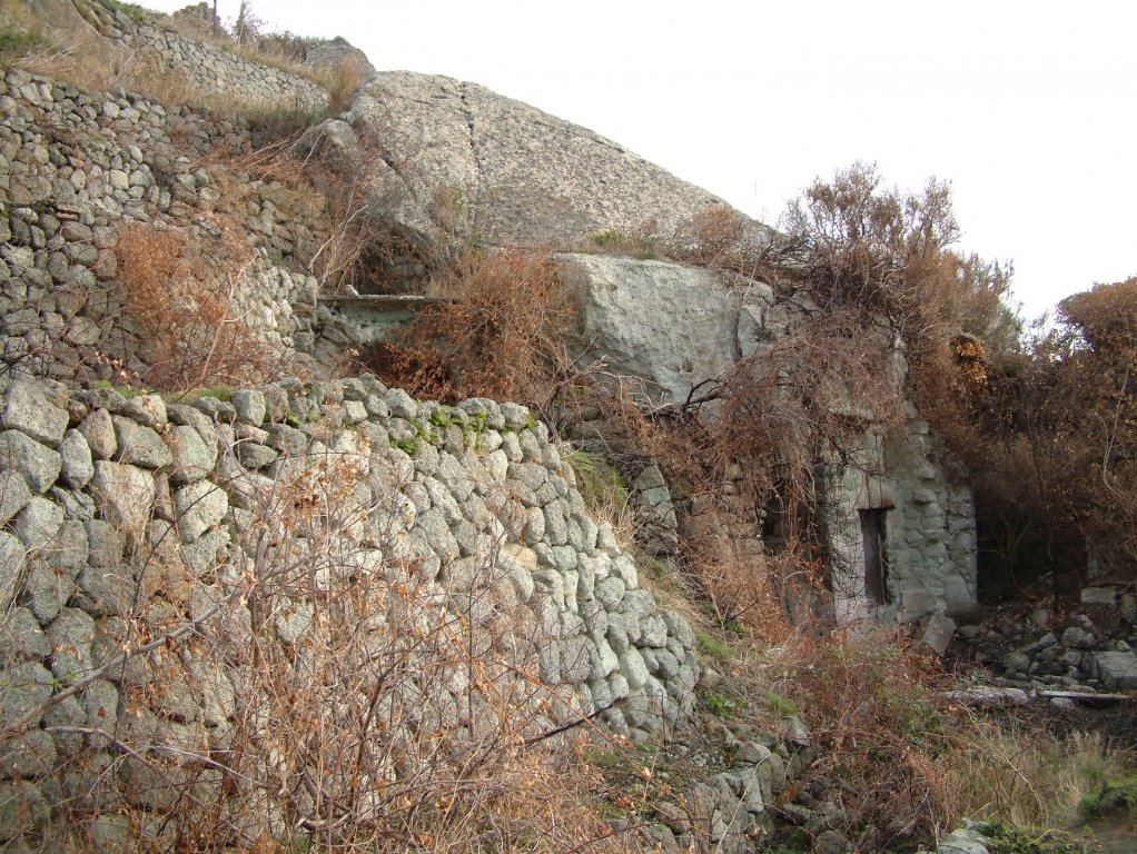 cantina con palmento